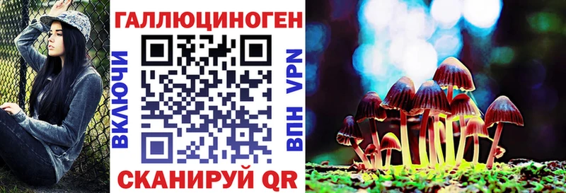 Псилоцибиновые грибы Psilocybine cubensis Бугуруслан